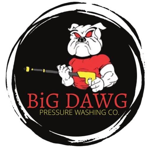 Big Dawg Pressure Washing